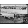 Caraculo, a Minha Paixão | Caraculo, My Passion | Moçâmedes Desert (Namib) | 19th And 20th Century Photo Album