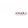 Angola: desde antes da sua criação pelos portugueses até ao êxodo destes por nossa criação - Edição Especial - Vol. I